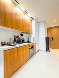 Peak Residence (D11), Condominium #553783381